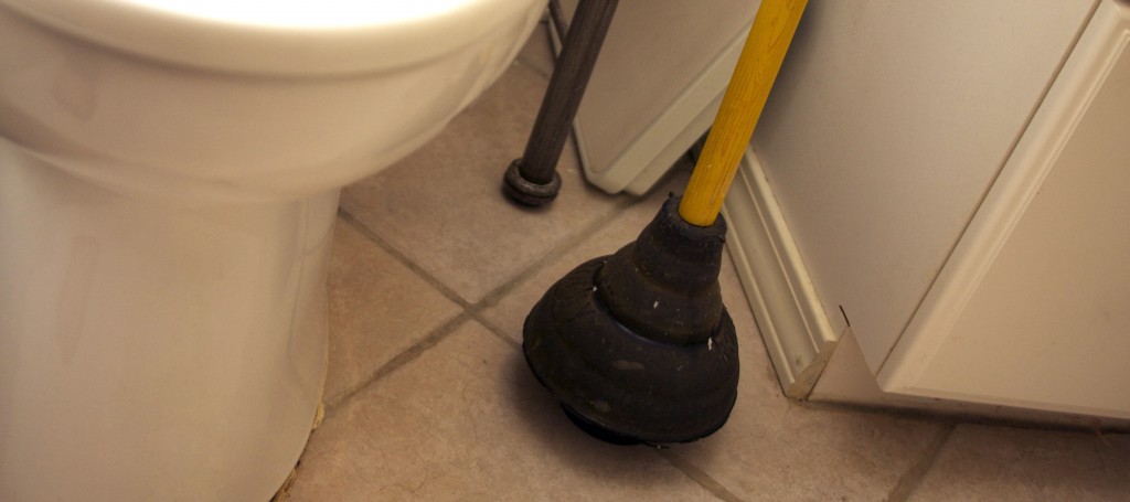 plunger